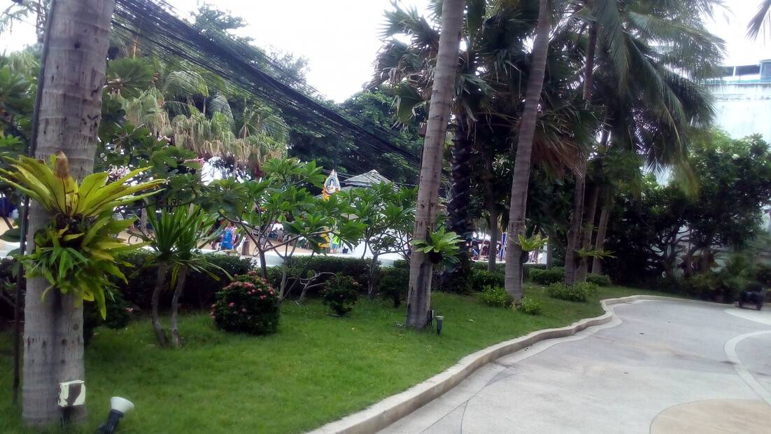 Avalon Beach Resort