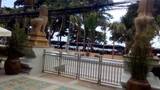 Avalon Beach Resort