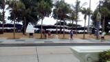 Avalon Beach Resort