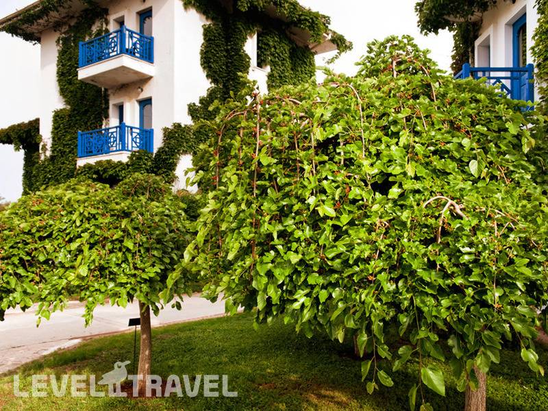 Фотография Belconti Resort Hotel
