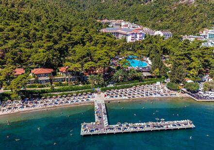 Превью видео