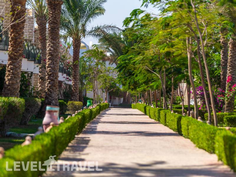 Фотография Aladdin Beach Resort