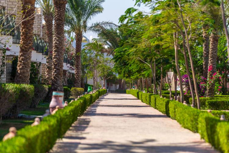 Aladdin Beach Resort