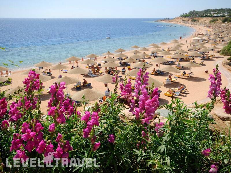 Фотография Domina Coral Bay Aquamarine Beach Фотография Domina Coral Bay Aquamarine Beach