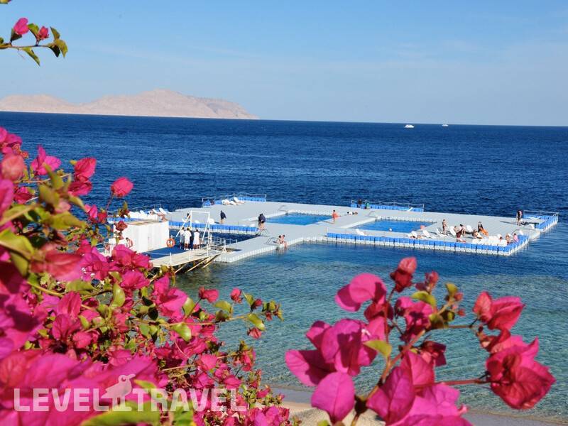 Фотография Domina Coral Bay Aquamarine Beach Фотография Domina Coral Bay Aquamarine Beach