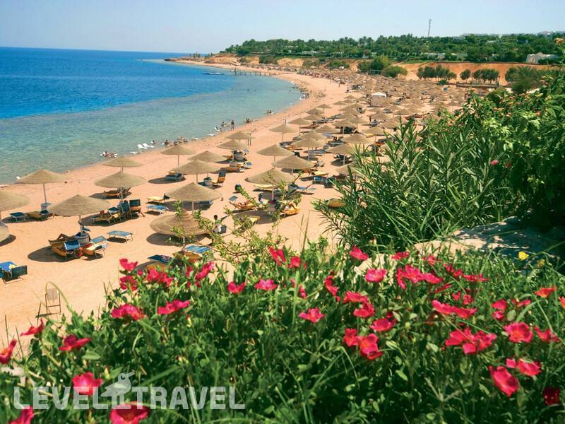 Фотография Domina Coral Bay Aquamarine Beach Фотография Domina Coral Bay Aquamarine Beach