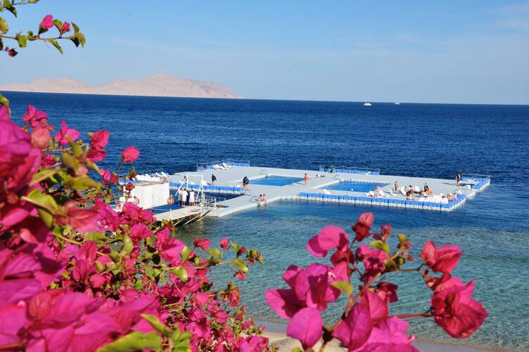 Domina Coral Bay Aquamarine Beach