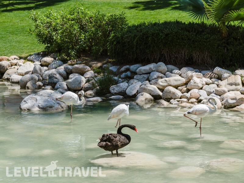 Фотография Rixos Premium Tekirova Фотография Rixos Premium Tekirova