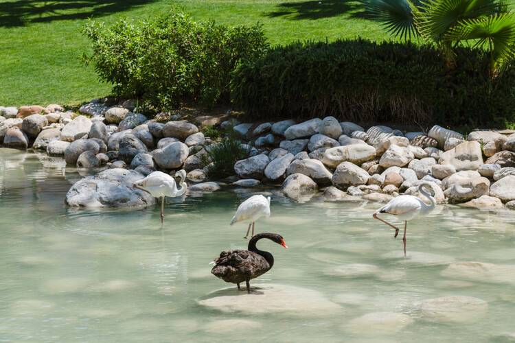 Rixos Premium Tekirova