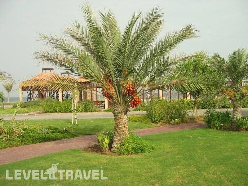 Фотография Umm Al Quwain Beach Hotel