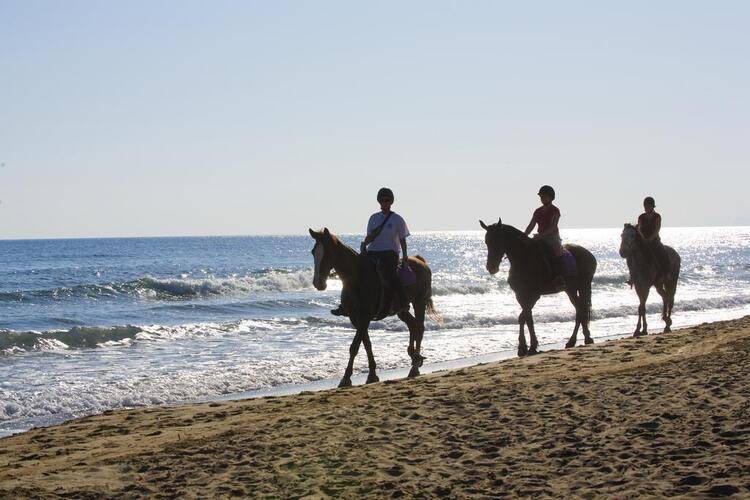 Pilot Beach Resort & Spa Hotel