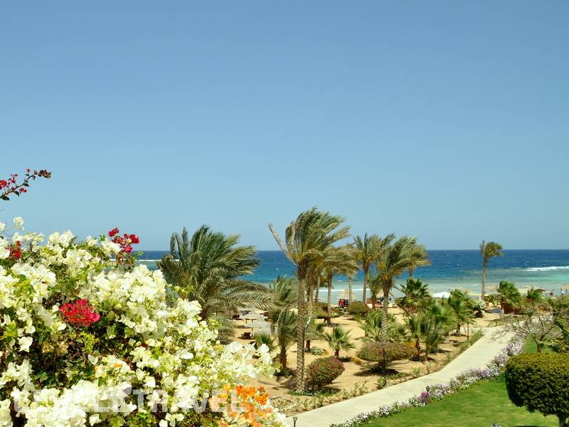 Фотография Royal Brayka Beach Resort (Ex.Brayka Royal Marsa Alam) Фотография Royal Brayka Beach Resort (Ex.Brayka Royal Marsa Alam)