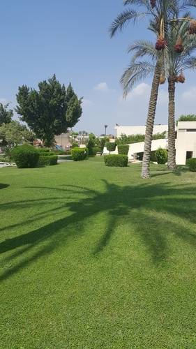 Pyramids Park Resort Cairo
