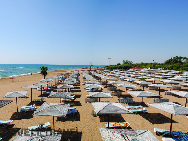 Фотография Sural Resort