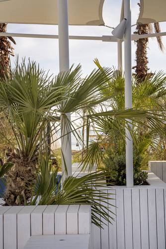 Voyage Belek Golf & Spa (Ex. Club Voyage Belek Select)