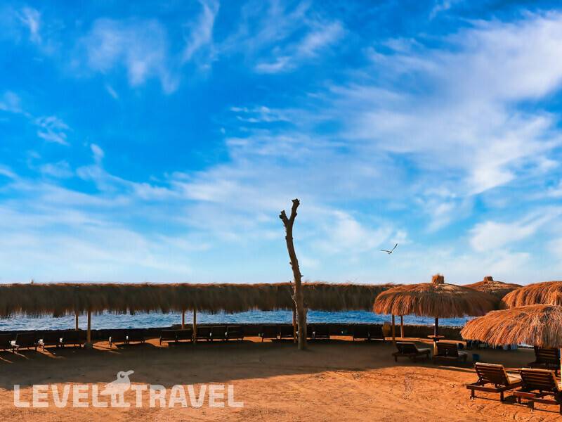 Фотография Eagles Down Town Zahabia Resort (Ex. Zahabia Resort)