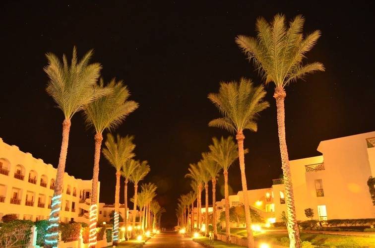 Ivy Cyrene Island Aqua Park Resort