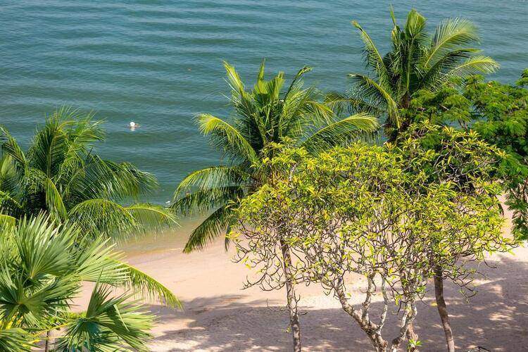 Garden Sea View