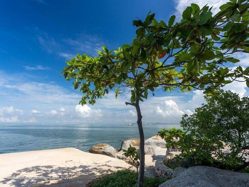 Фотография Garden Sea View