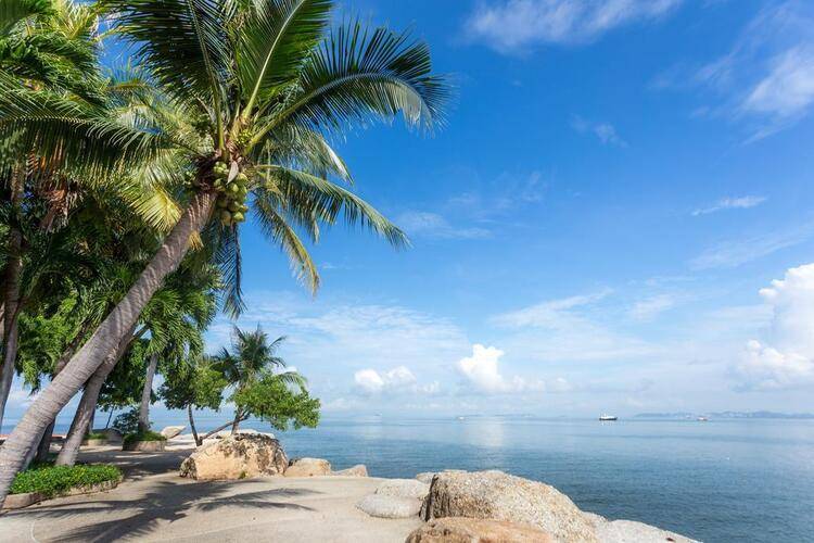 Garden Sea View