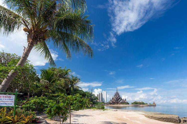Garden Sea View