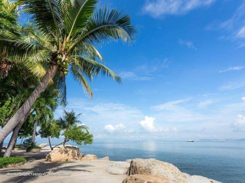 Фотография Garden Sea View