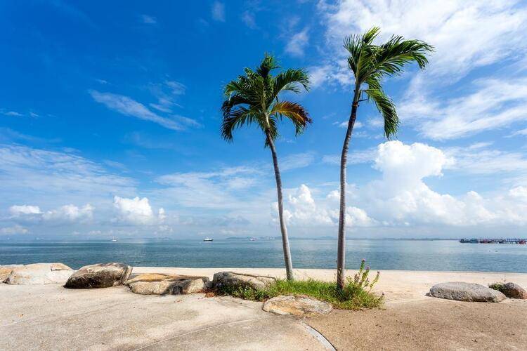 Garden Sea View