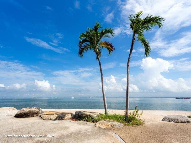 Фотография Garden Sea View