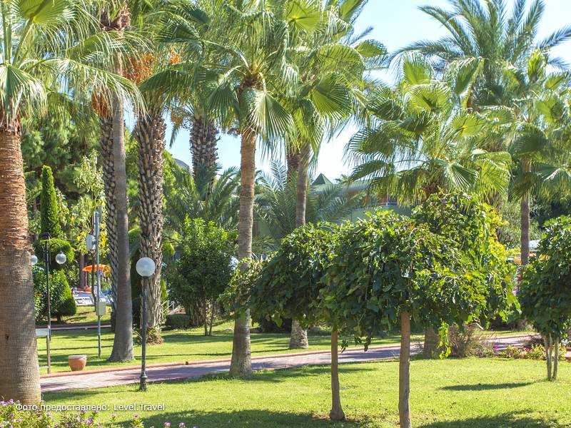 Фотография Lonicera World Hotel