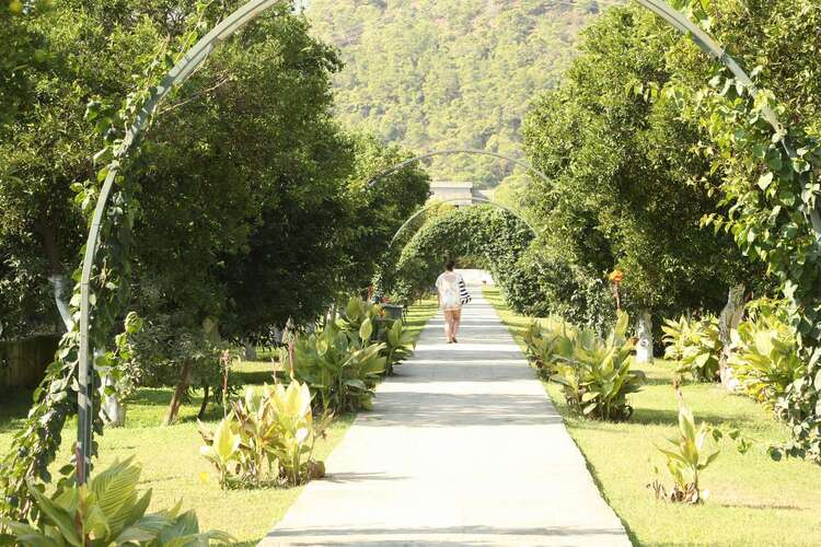 Viking Garden Hotel (Ex.Garden Resort Bergamot Hotel)