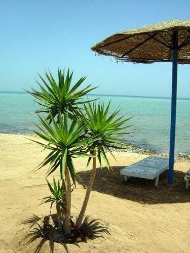 Sultana Beach Resort