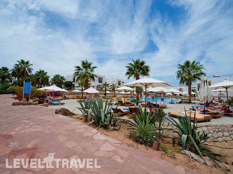 Фотография Amphoras Blu (Adults Only 16+)