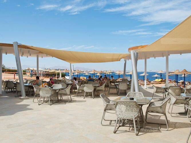 Amphoras Blu