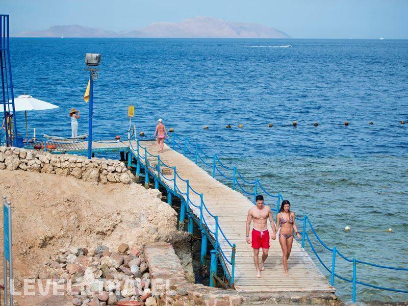 Фотография Amphoras Blu