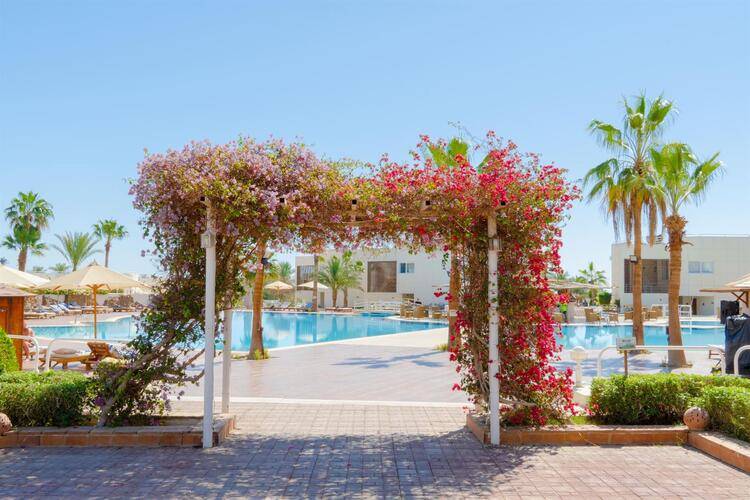 Sharm Reef