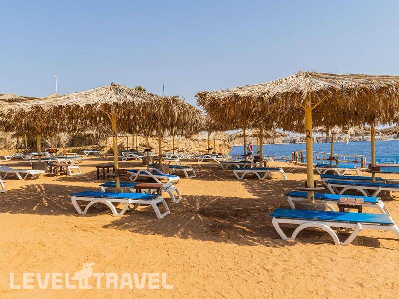 Фотография Sharm Reef Фотография Sharm Reef