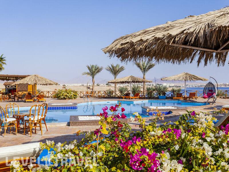 Фотография Club Reef