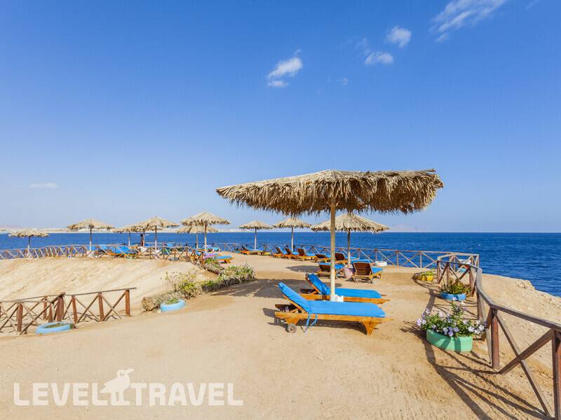 Фотография Club Reef