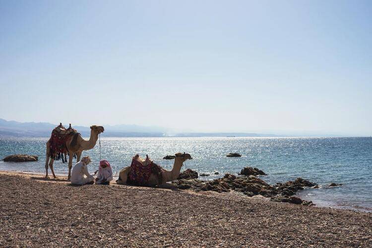 Movenpick Resort Taba