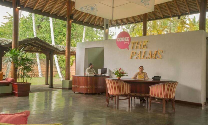 The Palms
