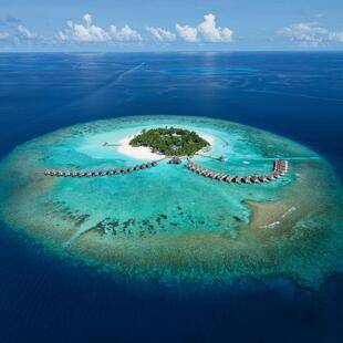 Әулие Валентин күні бляды