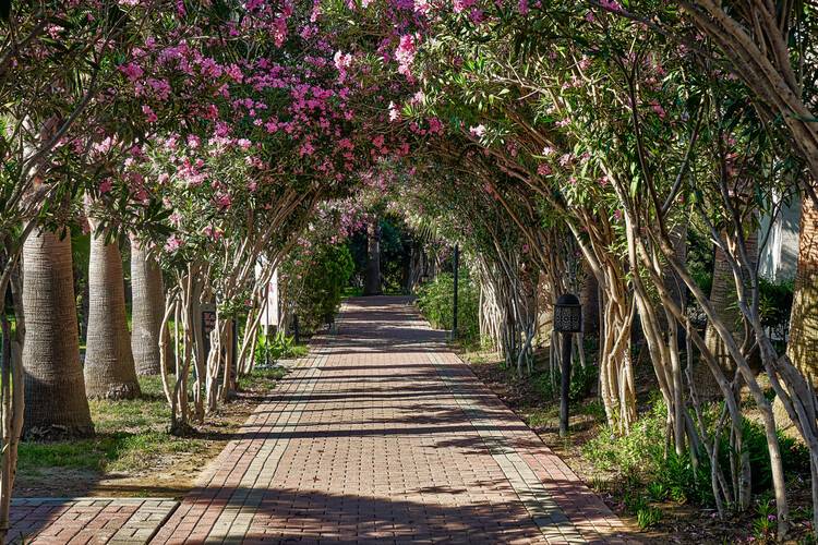 Seaden Sea World Hotel Resort & Spa