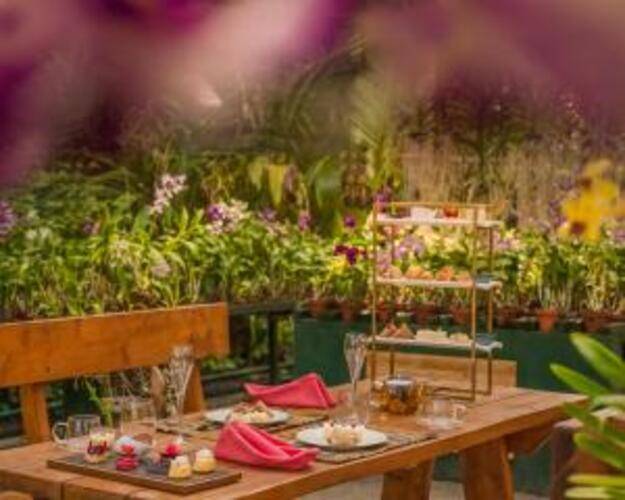 Anantara Kihavah Villas