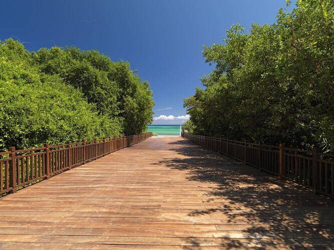 Paradisus Playa Del Carmen La Perla (Adults Only 18+)