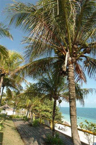 Maya Caribe Beach House By Faranda