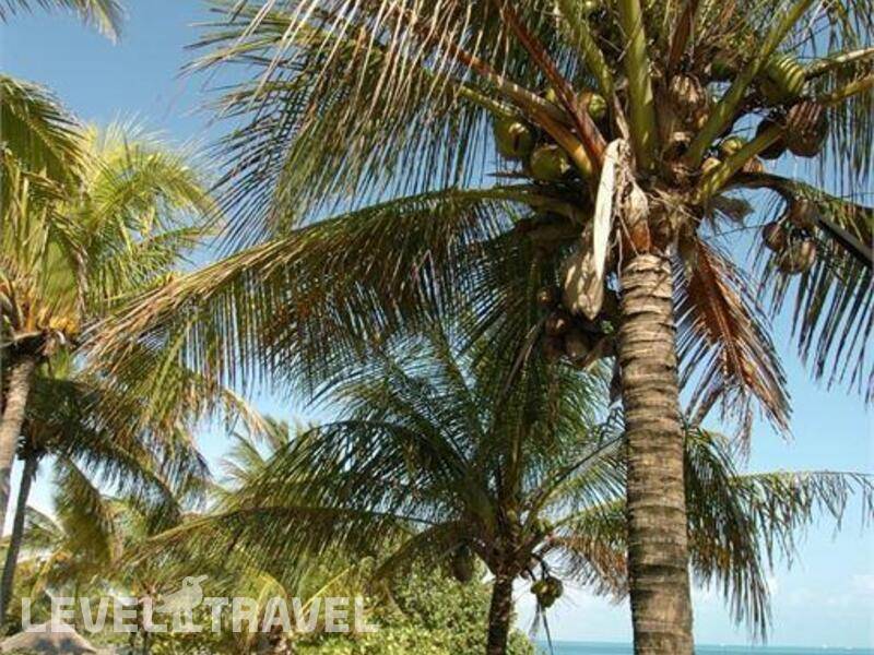 Фотография Maya Caribe Beach House By Faranda