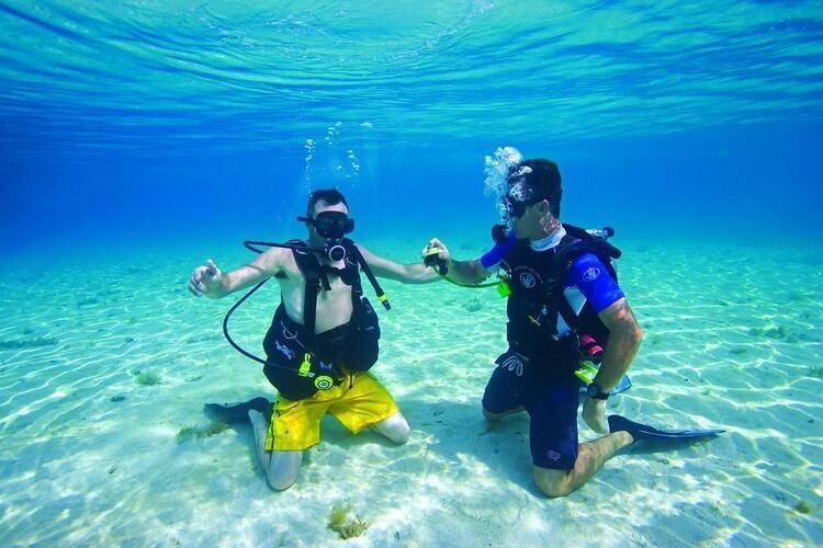 Allegro Cozumel Resort (Ex.Occidental Allegro Cozumel)
