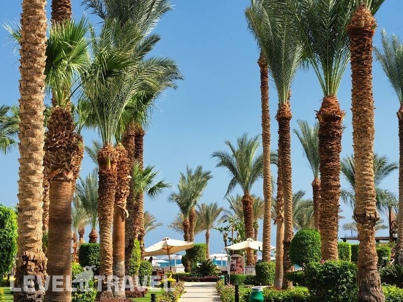 Фотография Swiss Inn Resort Hurghada (Ex. Hilton Hurghada Resort)