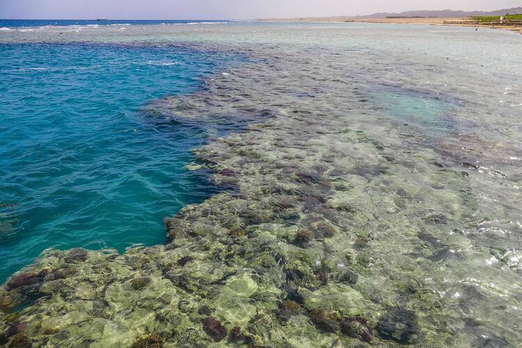 Fantazia Resort Marsa Alam (Ex. Shores Fantazia)