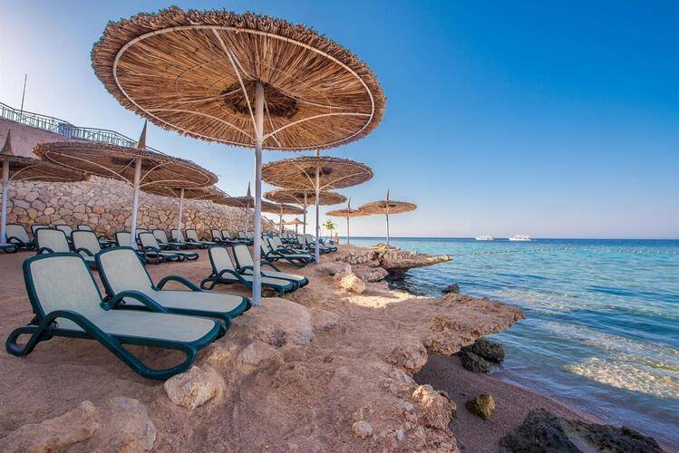 Sentido Reef Oasis Senses Resorts (Ex. Reef Oasis Senses Resorts)